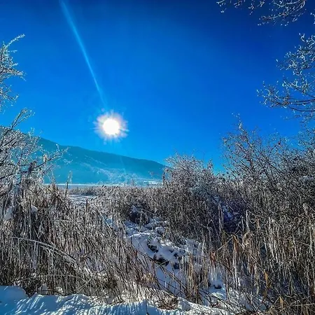 Natura 2000 * Steindorf am Ossiacher See